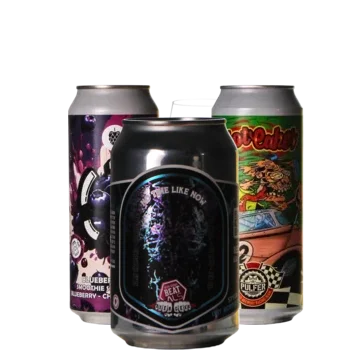 Auswahl von fruit Bieren aus unserem Sortiment