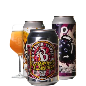 Selectie van smoothie bieren uit ons assortiment