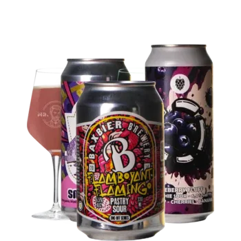 Selectie van smoothie bieren uit ons assortiment