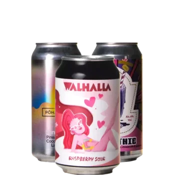 Selectie van zuurbier bieren uit ons assortiment