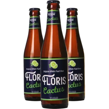 Selectie van geuzebier bieren uit ons assortiment