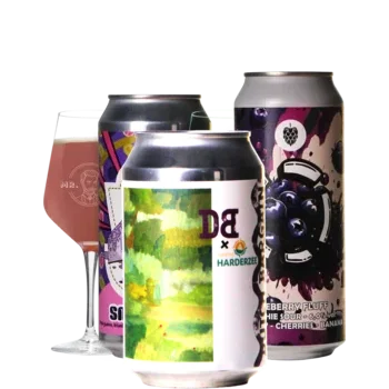 Selectie van smoothie bieren uit ons assortiment