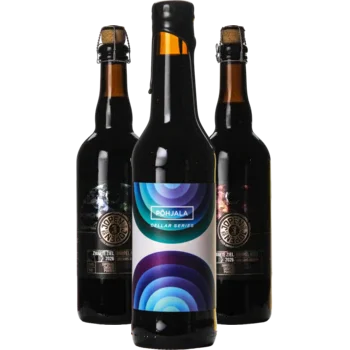 Auswahl von porter Bieren aus unserem Sortiment