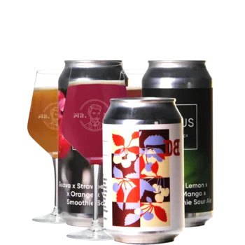 Auswahl von zuurbier Bieren aus unserem Sortiment