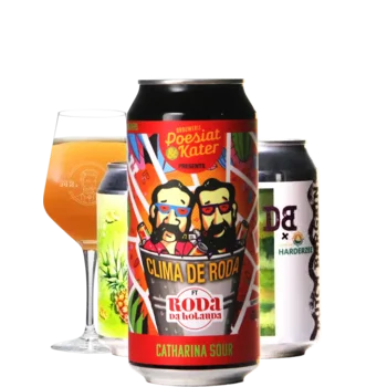 Selectie van zuurbier bieren uit ons assortiment