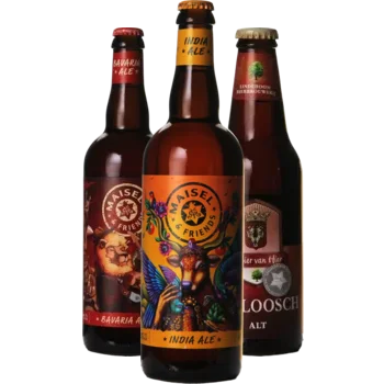Selectie van donker bieren uit ons assortiment