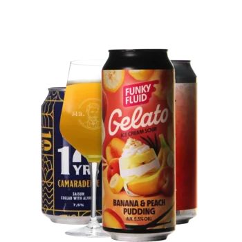 Selectie van zuurbier bieren uit ons assortiment